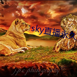 skyֱûؼҵַ