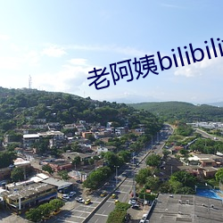 老阿姨bilibili视频中