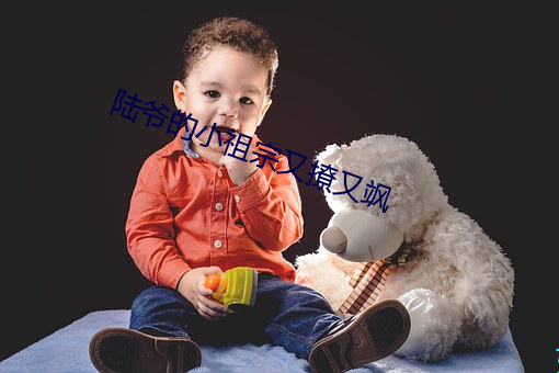 陆爷的小祖宗又撩又飒