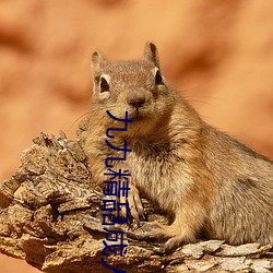 九(九)九精品成人(人)免费国产片成人国内精(精)品(品)久(久)久(久)久久(久)影(影)院(院)