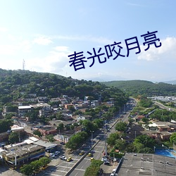 春光咬月亮