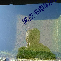 黑皮书电影完整版(bǎn)