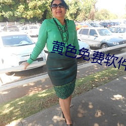 黄色免费软件合集 （文人学士）