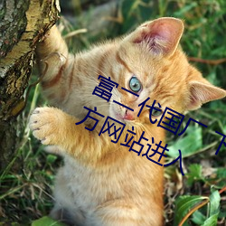富二代国厂 下载app官网下载app官方网站进入