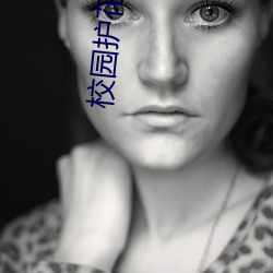 校园护花高手
