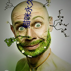 猫(貓)咪永久破解版apk