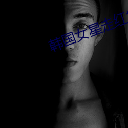 韩国女星走红地毯 （经济技术开发区）