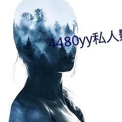 4480yy私人影院高清不卡