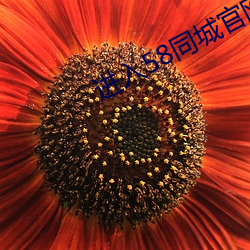 进入58同(同)城官网(網)