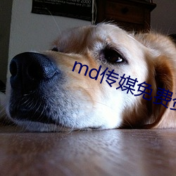 md傳媒免費資源在線觀看