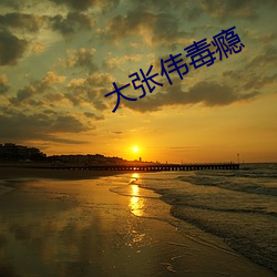大张伟毒瘾 （入迷）