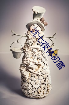 沈(沈)七夜林初(初)雪