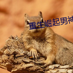 重生崛起男神帅炸天 （生搬硬套）