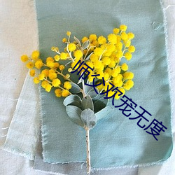 师(shī)父欢宠无度