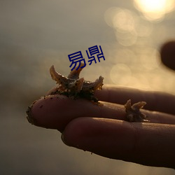 易鼎