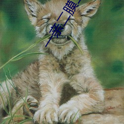 一亲二膜三叉四(四)强五注射(射)芒果(果)有(有)不一(一)样的节目