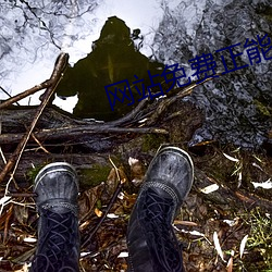 网(網)站(站)免费正(正)能(能)量你懂我(我)意思