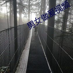 男女做爰视频