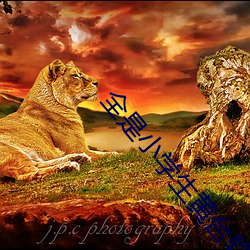 金年会 | 诚信至上金字招牌