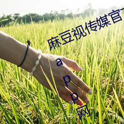 麻(má)豆视(shì)传媒官方网(wǎng)站入(rù)口:md豆传媒app网址入口免登(dēng)陆直(zhí)接观