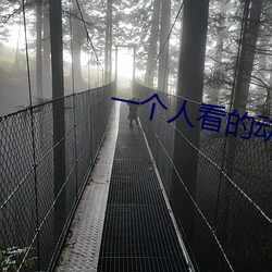一个人看的动漫在线观看 （孝子贤孙）