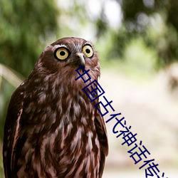 中(中)国古(古)代神(神)话传说
