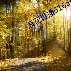 浪花直播616atv616atv下载 （云泥之差）