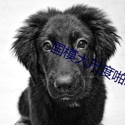 &#12298;&#x79C1;&#20154;&#x5C0F;&#24433;&#x9662;&#12299;