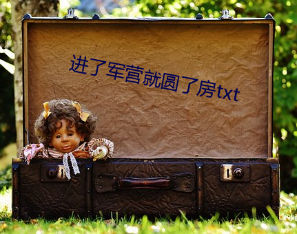 进了军营就圆了房txt （细针密缕）