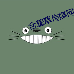 含羞草傳媒網站免費進入黃輪滑網