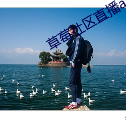 草莓社区直播app