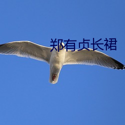 郑有贞长裙 （求马於唐肆）