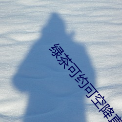 绿茶可约可空降直播软件