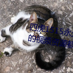 四虎1515永久免費1515hh:海量的視頻資源都可以免費看的播