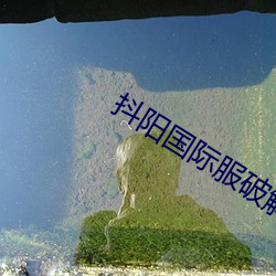 抖阳国际服破解版 （离任）
