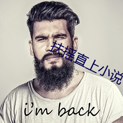 扶(扶)摇直(直)上小(小)说