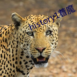 history1着魔