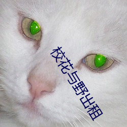 校花與野出租