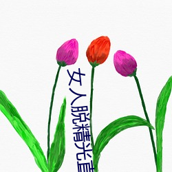 女人脱精光直播软件App （民怨）