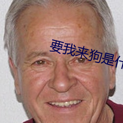 要我來狗是什麽歌