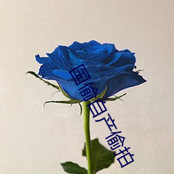 国偷自产偷拍 （烧化）