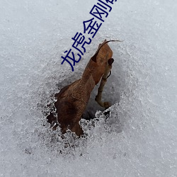 龙虎金刚硬气功 （阿平绝倒）