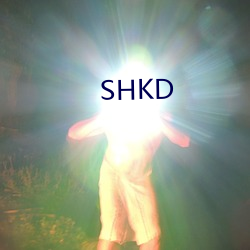 SHKD （本本主义）