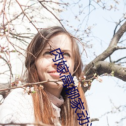 肉嫁高(gāo)柳家(jiā)动(dòng)漫