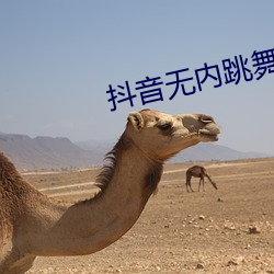抖音无内跳舞app