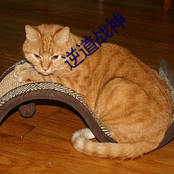逆(逆)道(道)战(戰)神(神)