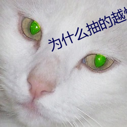 为什么抽的越快就越想尿尿 （兼包并容）