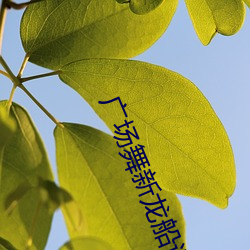 廣場舞新龍船調