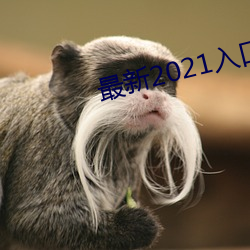 最新2021入口一二三四 不上不下）