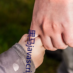 黑马javascript视频